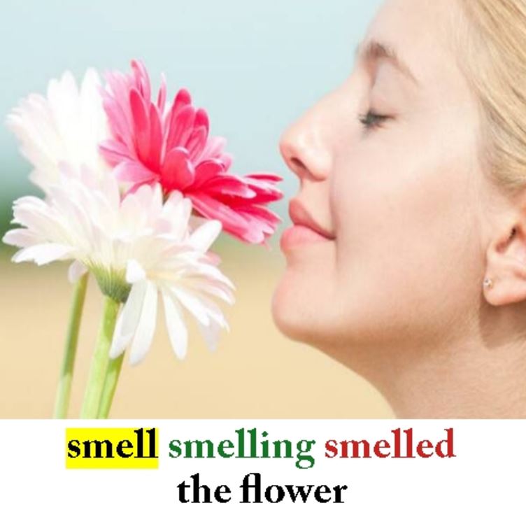 Smell2